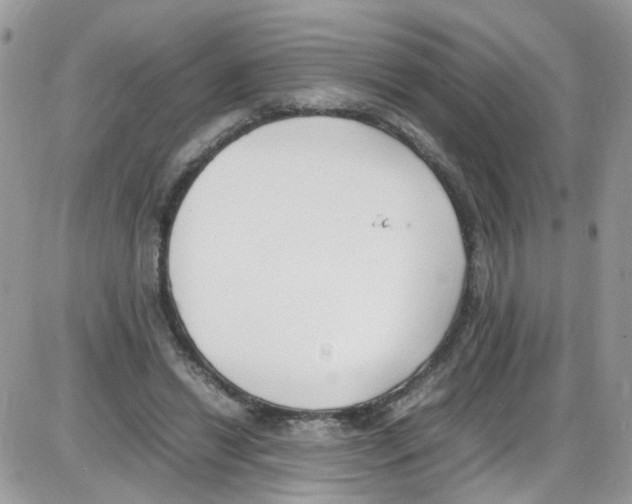 X0000086110446200704202310