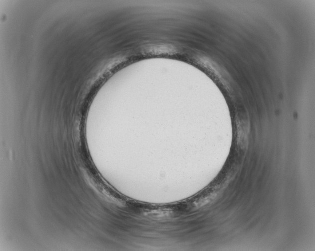 X0000086110447200704202310