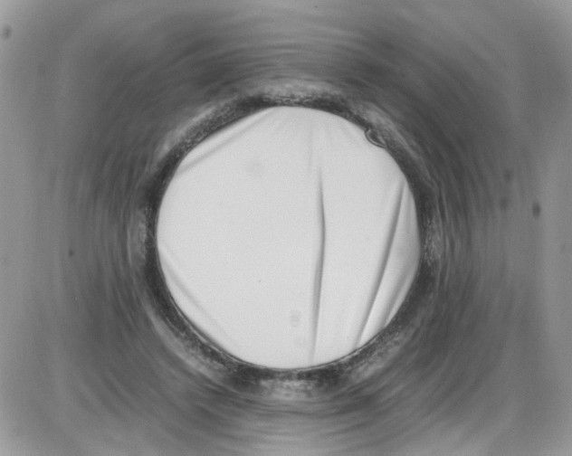 X0000086110448200704202310