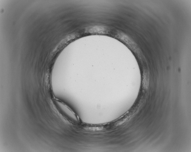 X0000086110449200704202310