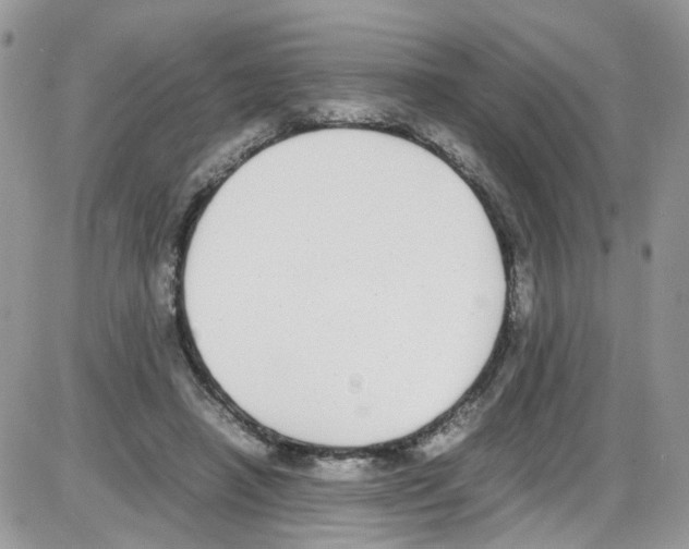 X0000086110450200704202310