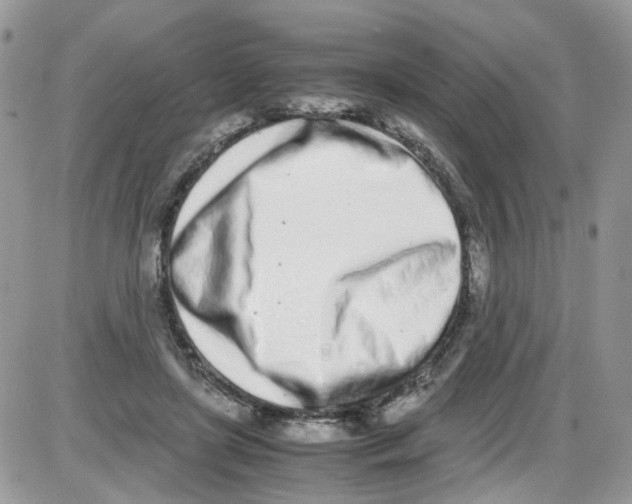 X0000086110451200704202310