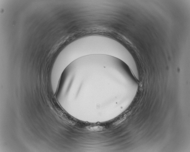 X0000086110452200704202310