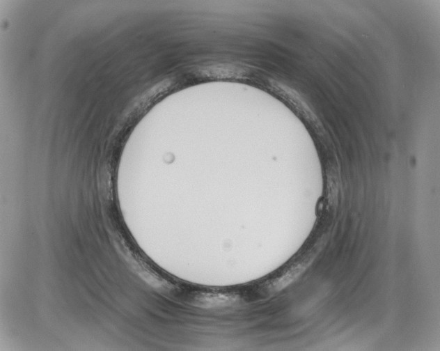 X0000086110453200704202310