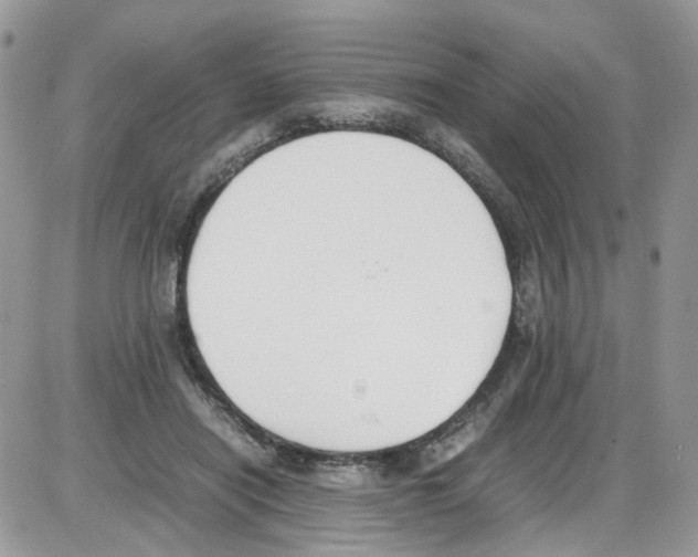 X0000086110454200704202310