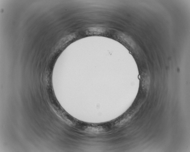 X0000086110455200704202310