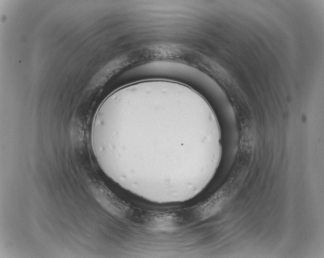 X0000086110456200704202310