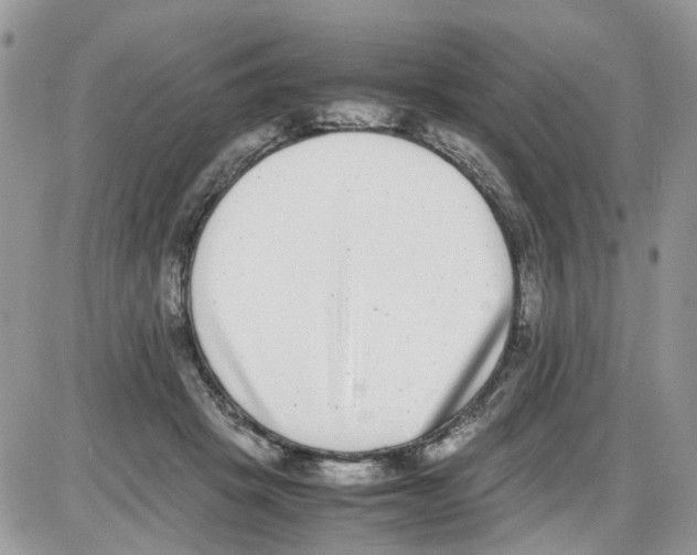 X0000086110457200704202310