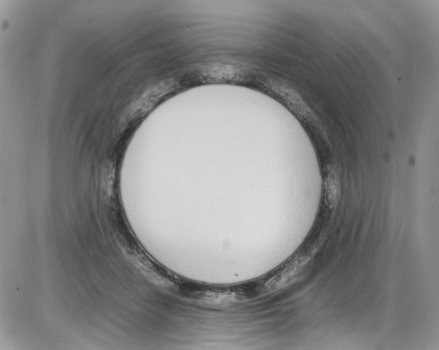 X0000086110458200704202310