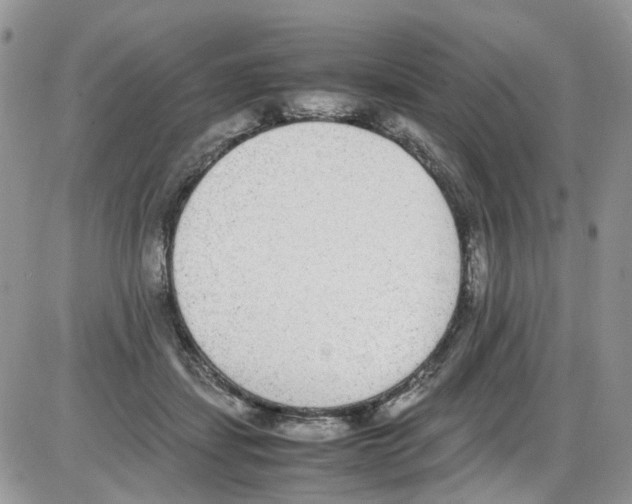 X0000086110459200704202310