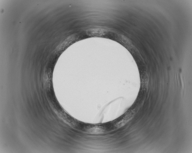 X0000086110460200704202310