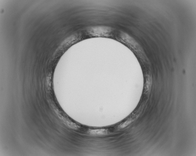 X0000086110461200704202310