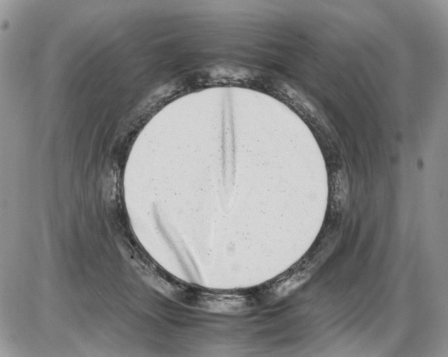 X0000086110463200704202310