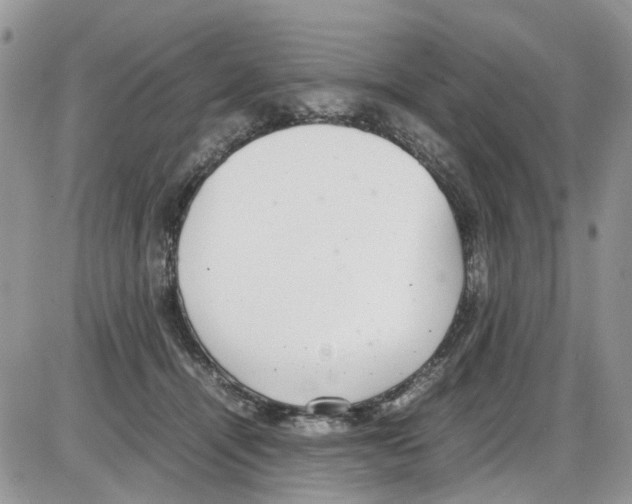 X0000086110464200704202310