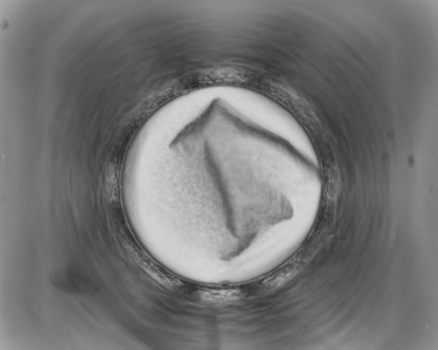 X0000086110465200704202310