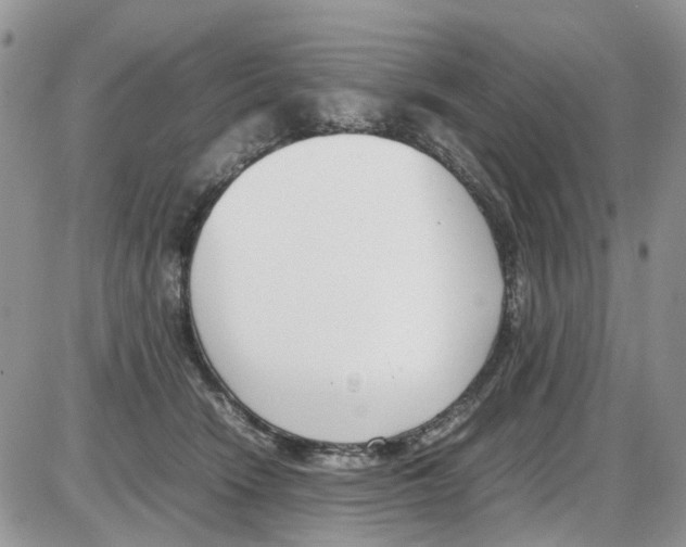 X0000086110466200704202310