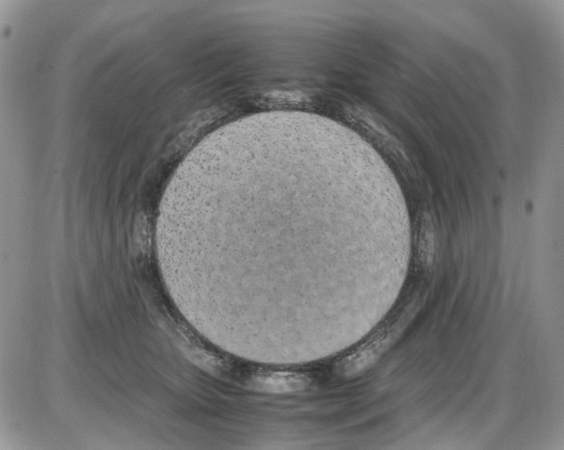 X0000086110467200704202310