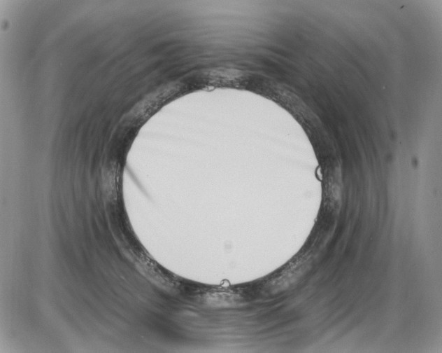 X0000086110468200704202310