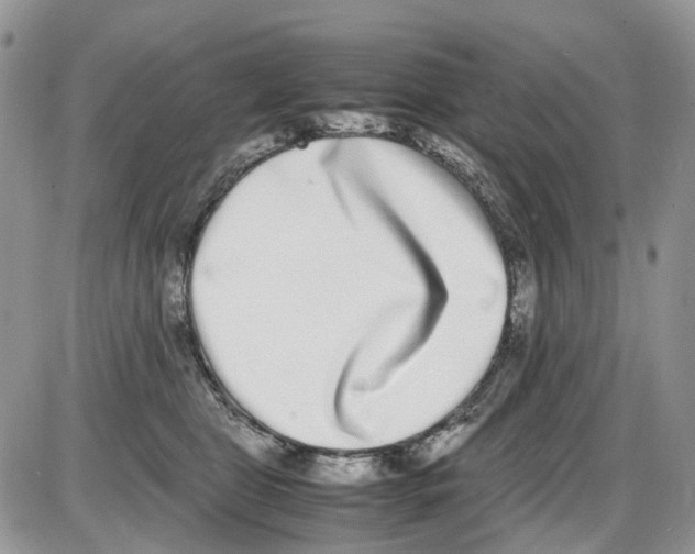 X0000086110469200704202310