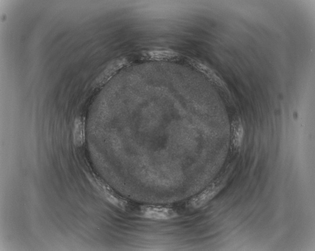 X0000086110471200704202310