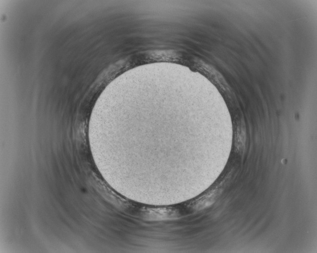 X0000086110473200704202310