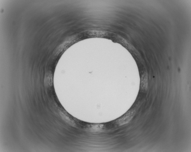 X0000086110474200704202310