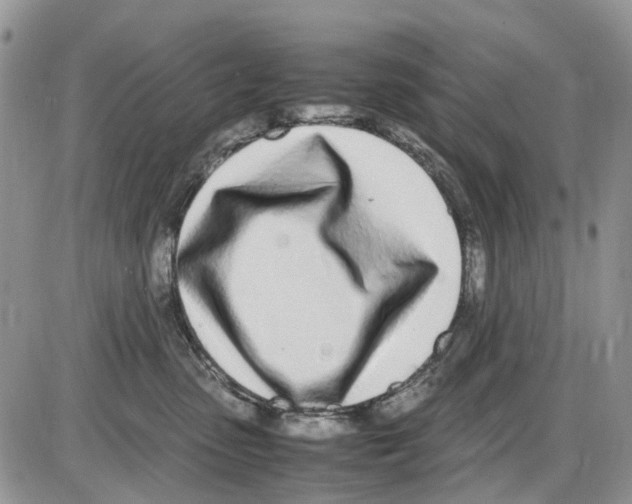 X0000086110475200704202310