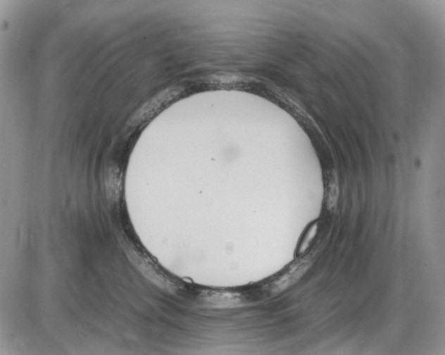 X0000086110476200704202310