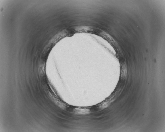 X0000086110477200704202310