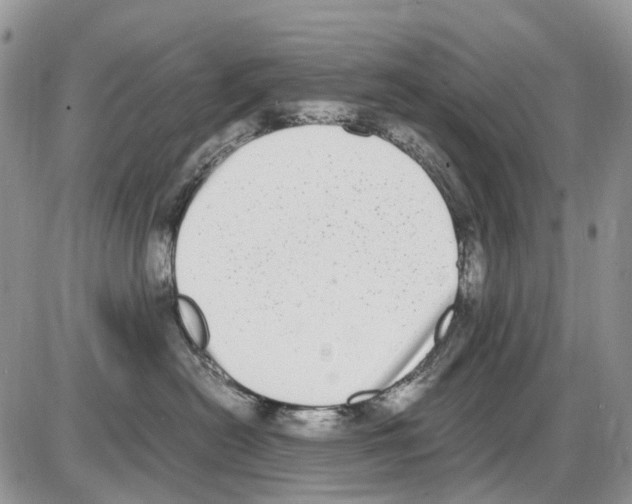 X0000086110478200704202310