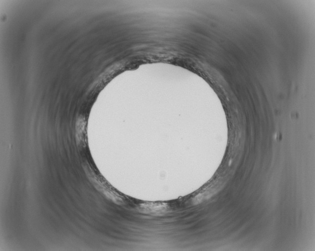 X0000086110480200704202310