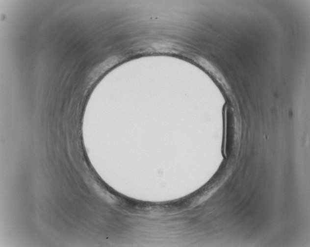 X0000086110481200704202309