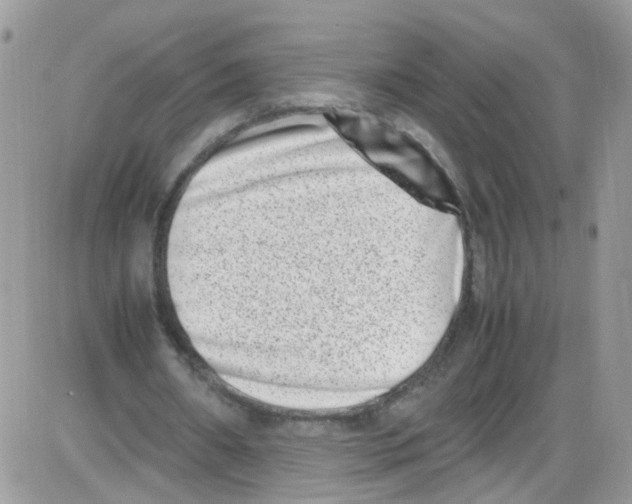 X0000086110482200704202309