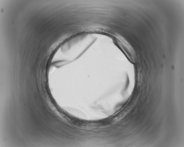 X0000086110485200704202309