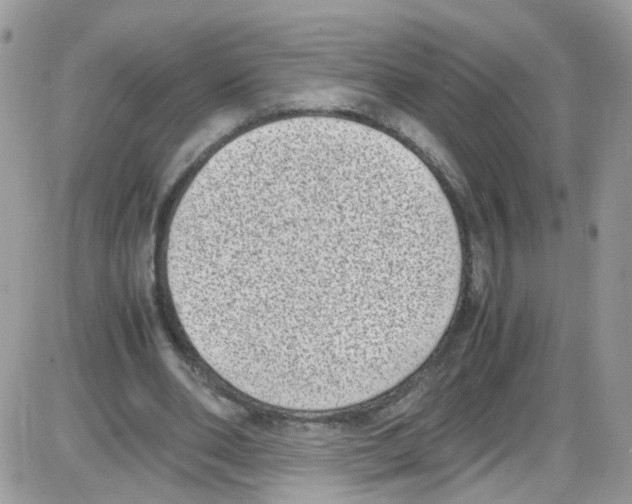 X0000086110486200704202309