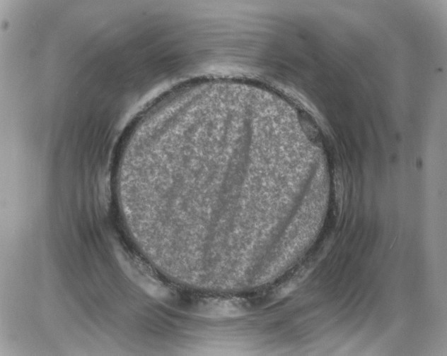 X0000086110488200704202309