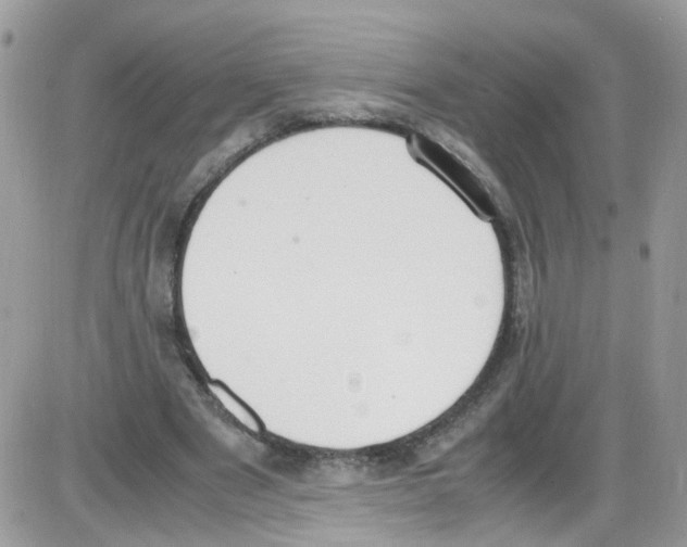 X0000086110489200704202309