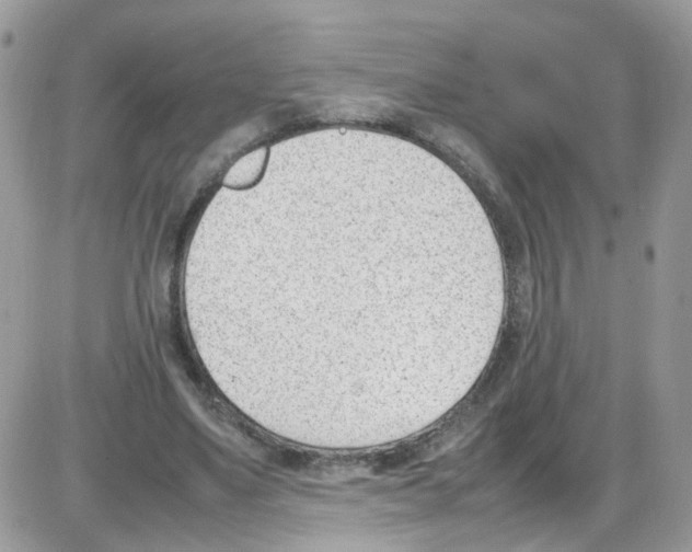 X0000086110491200704202309