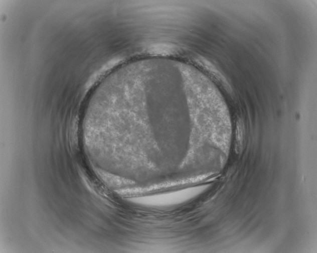 X0000086110492200704202309