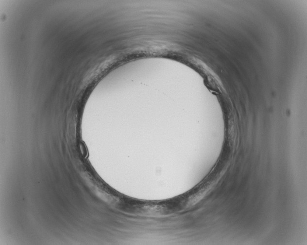 X0000086110493200704202309