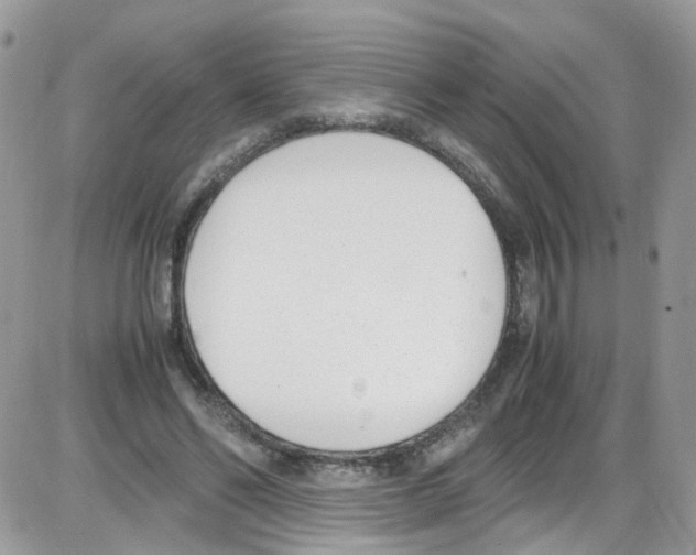 X0000086110494200704202309