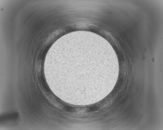 X0000086110495200704202309