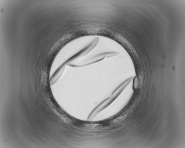 X0000086110497200704202309