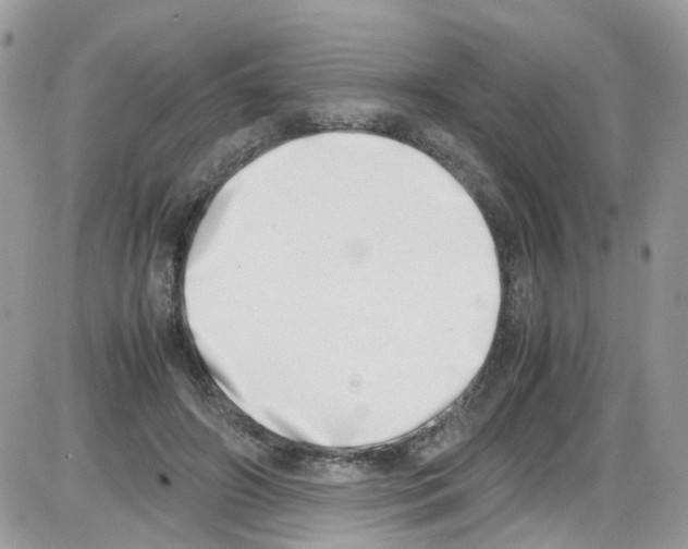 X0000086110498200704202309