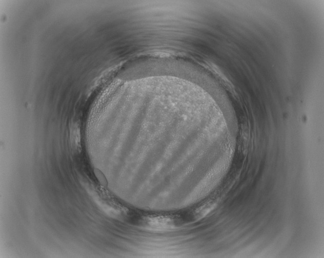 X0000086110500200704202309