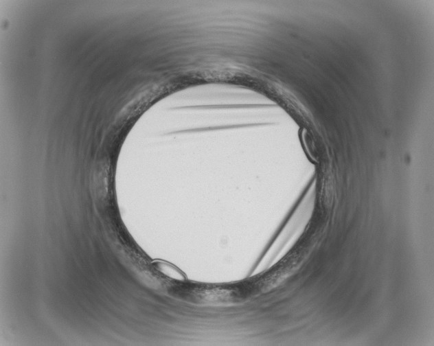 X0000086110501200704202309