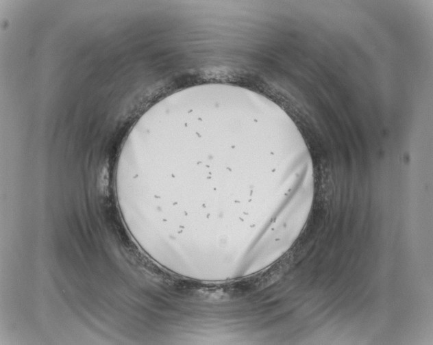 X0000086110502200704202309