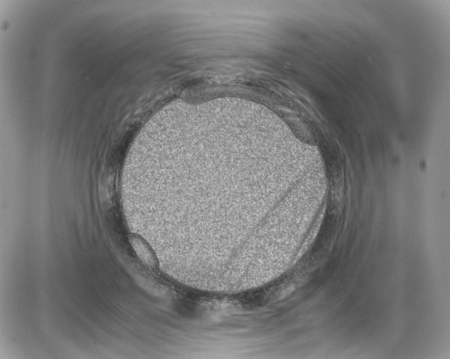 X0000086110503200704202309