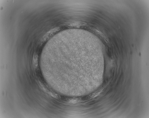 X0000086110504200704202309