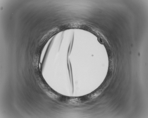 X0000086110505200704202309